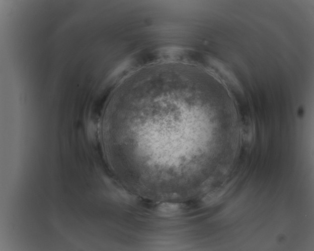 X0000094800332200711241429