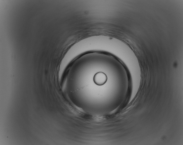 X0000094800333200711241429