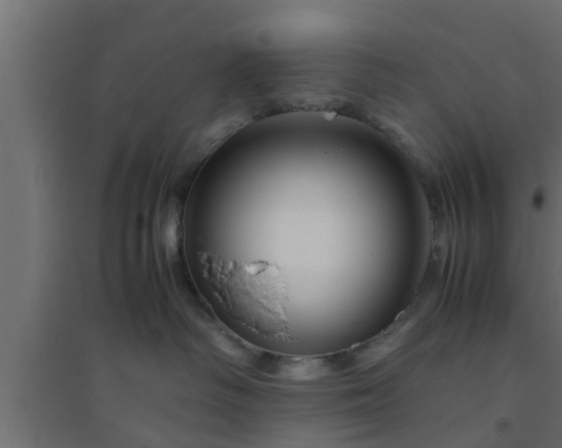 X0000094800334200711241429