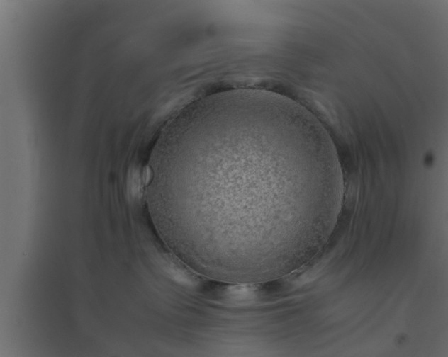 X0000094800335200711241429