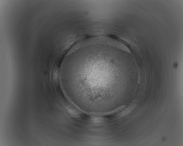 X0000094800336200711241429