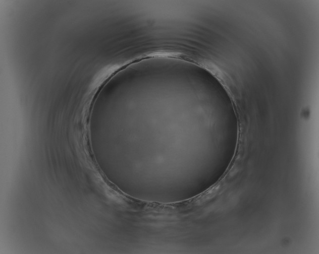 X0000094800337200711241428