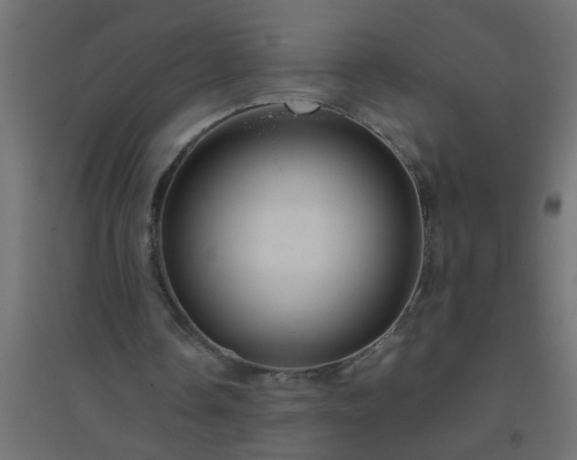 X0000094800338200711241428