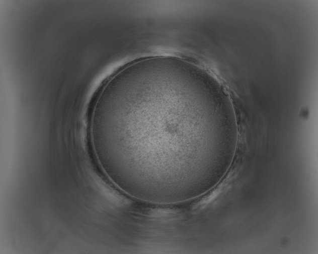 X0000094800342200711241428