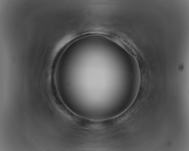 X0000094800344200711241428
