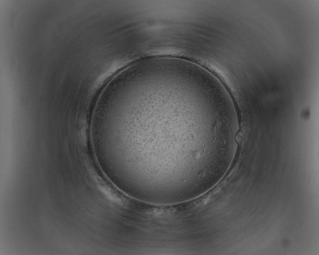 X0000094800345200711241428