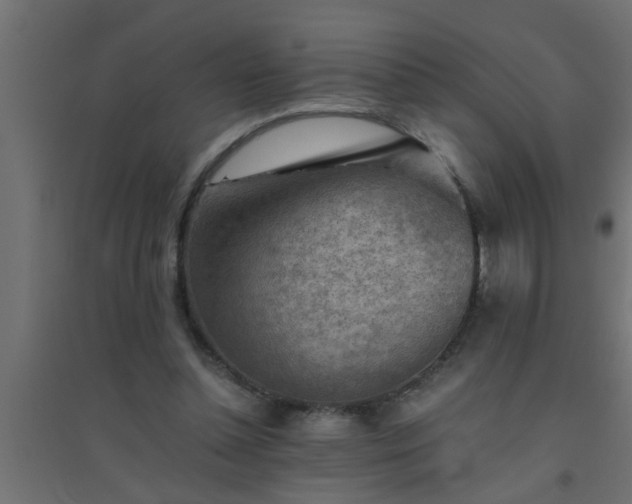 X0000094800348200711241428