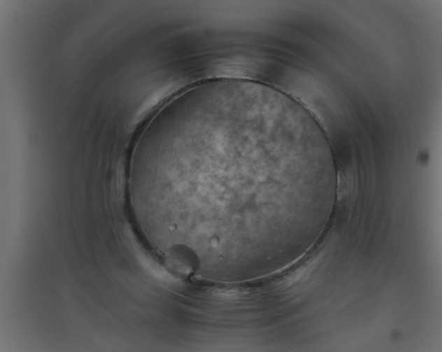 X0000094800349200711241428