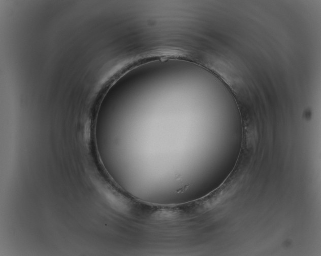 X0000094800350200711241428