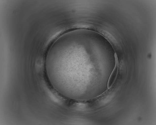 X0000094800352200711241428