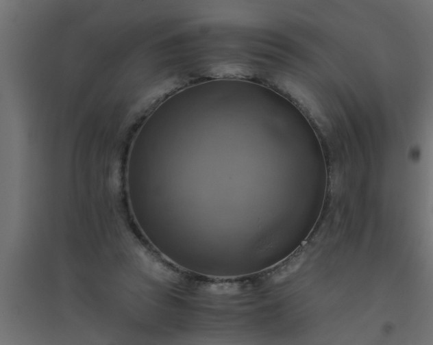 X0000094800353200711241428