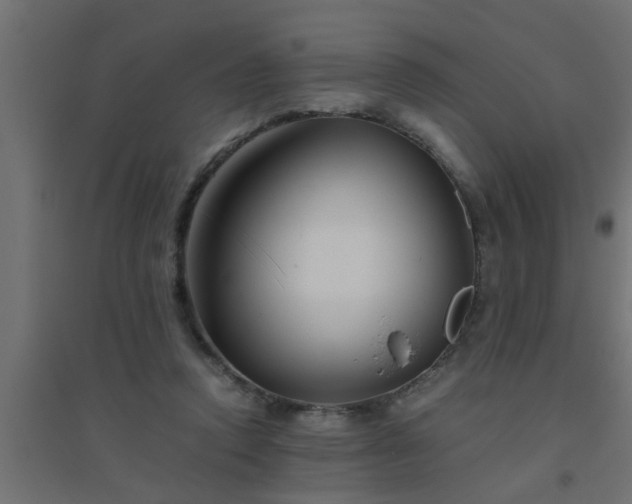 X0000094800354200711241428