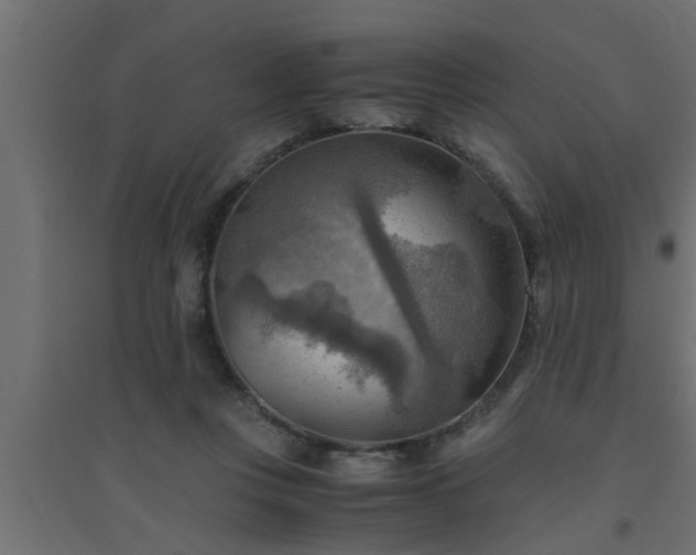 X0000094800359200711241429
