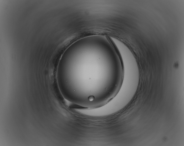 X0000094800360200711241429