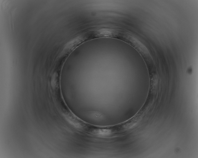 X0000094800361200711241429