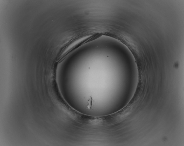 X0000094800362200711241429