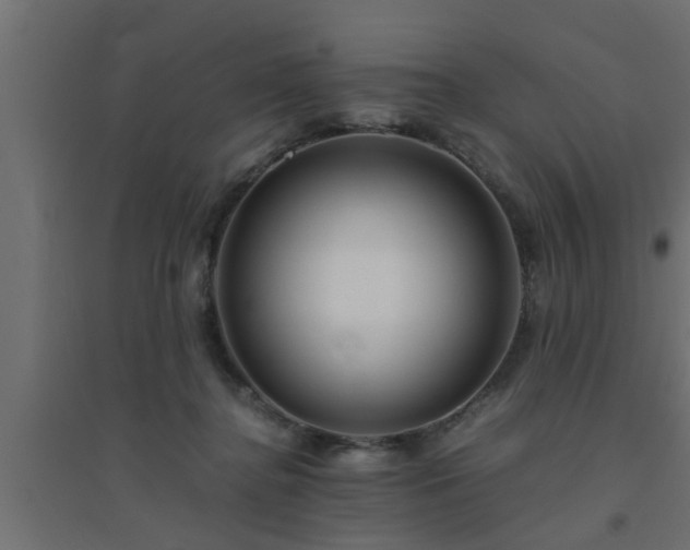 X0000094800364200711241429