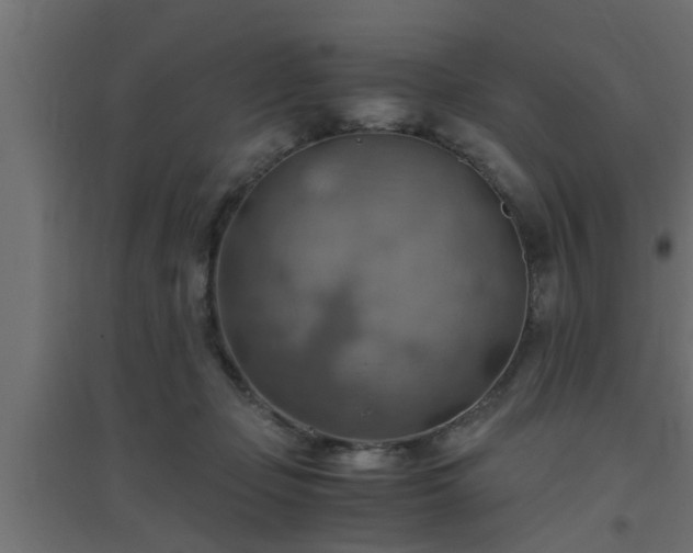 X0000094800365200711241429