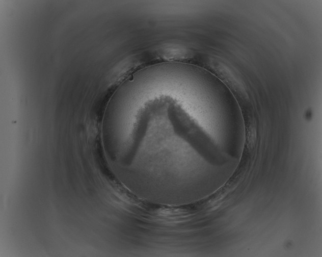 X0000094800367200711241429
