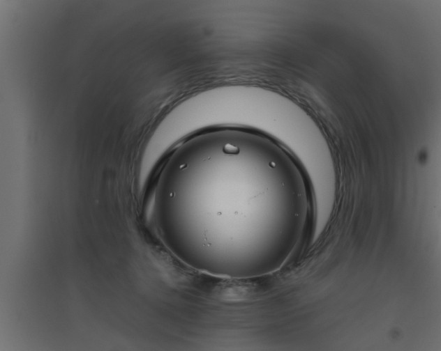 X0000094800368200711241429