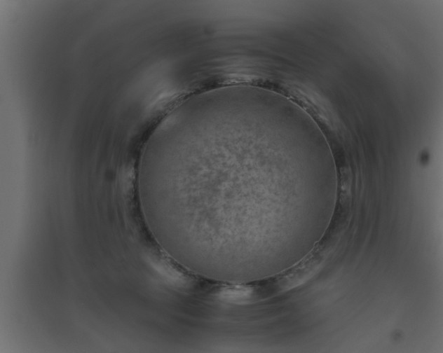X0000094800369200711241429
