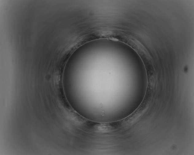 X0000094800372200711241429