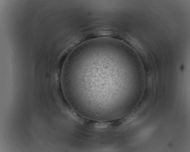 X0000094800373200711241429