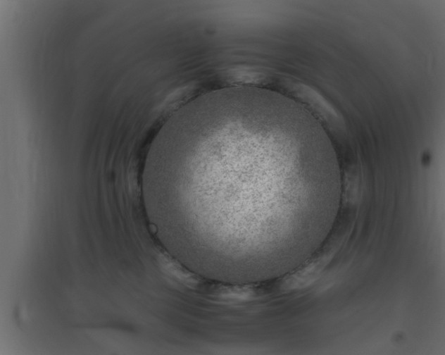 X0000094800377200711241429