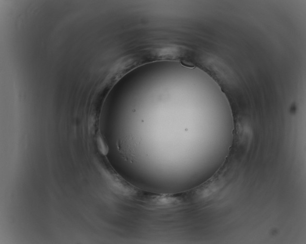 X0000094800379200711241429