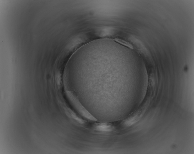 X0000094800380200711241429