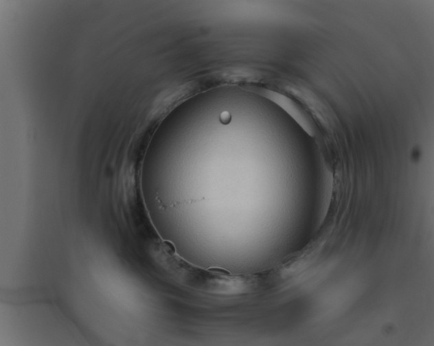 X0000094800381200711241429