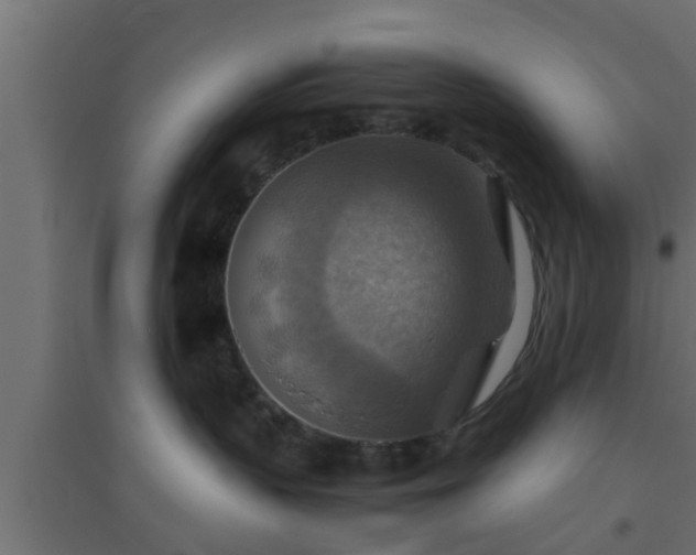 X0000094800383200711241429
