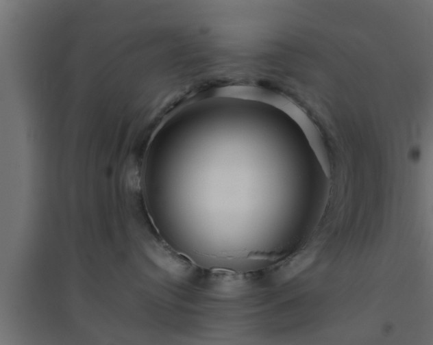 X0000094800384200711241429