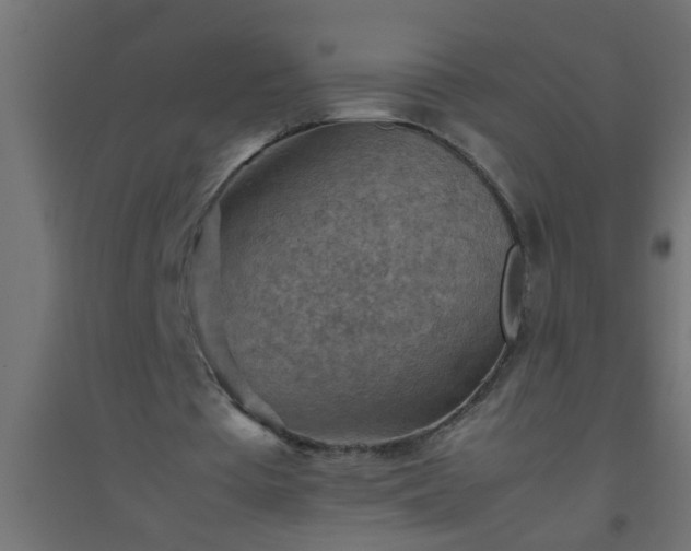 X0000094800385200711241428