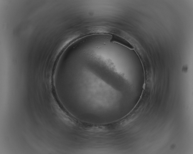 X0000094800386200711241428