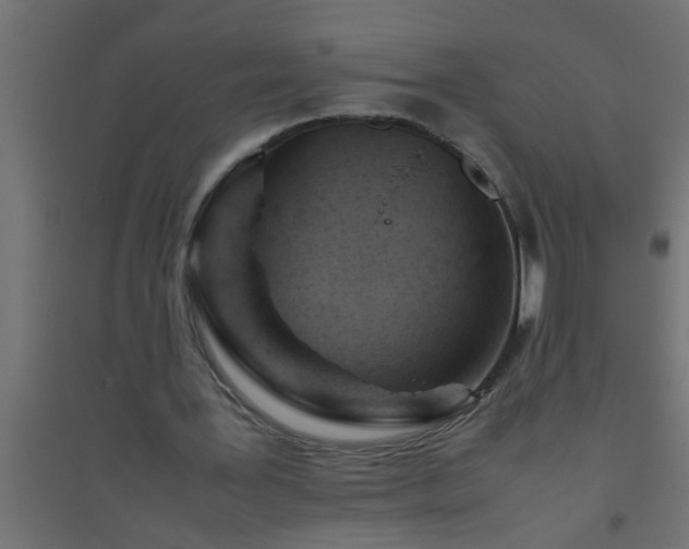 X0000094800387200711241428