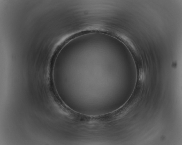 X0000094800388200711241428