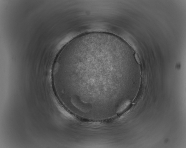 X0000094800389200711241428