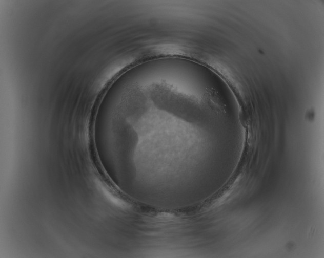X0000094800390200711241428