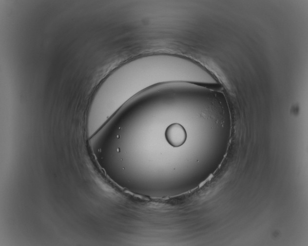 X0000094800393200711241428