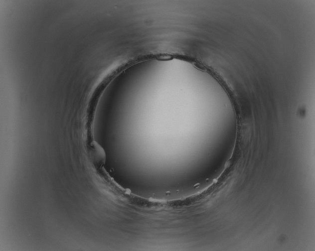 X0000094800395200711241428