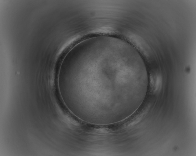 X0000094800396200711241428