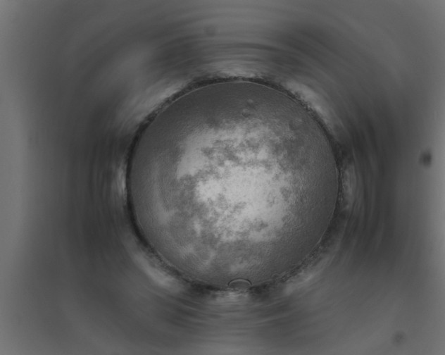 X0000094800398200711241428