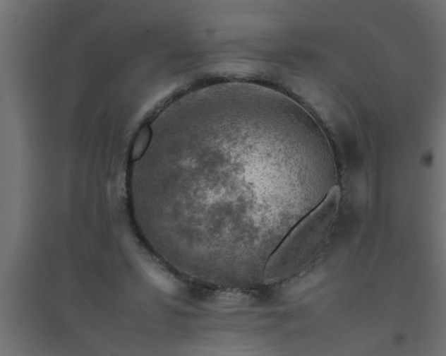 X0000094800399200711241428