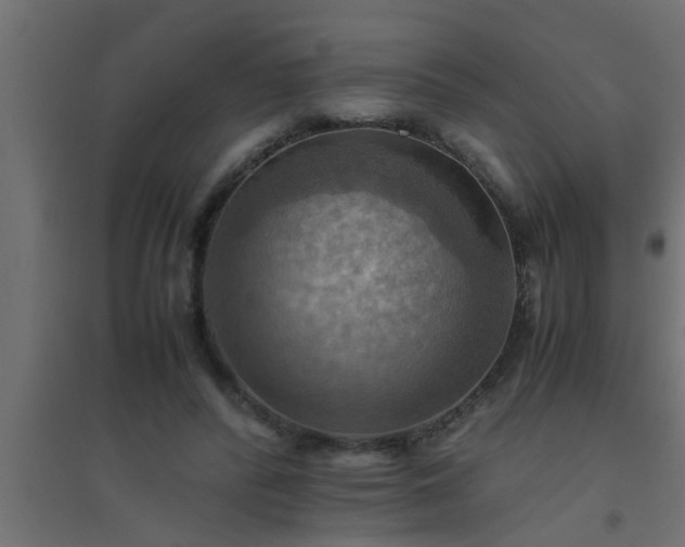 X0000094800400200711241428