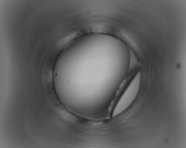 X0000094800401200711241428