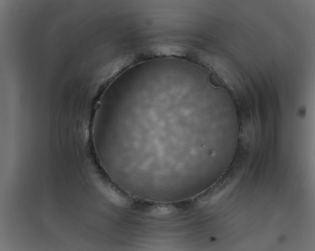 X0000094800402200711241428