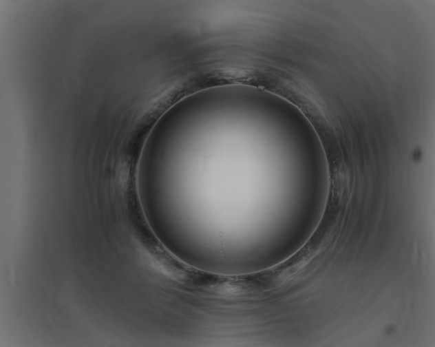 X0000094800412200711241428