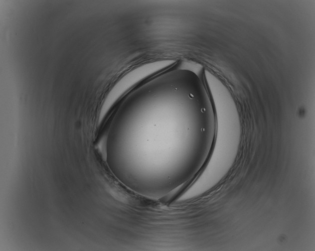 X0000094800413200711241428