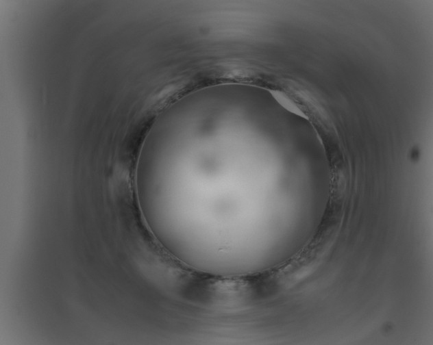 X0000094800415200711241428